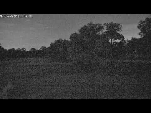 Arthur Hills Golf Course 18th Green Livestream — Hilton Head Island