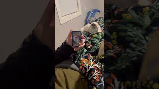 ‼️Pokémon pack opening ‼️#captaincaseyscollectibles #pokemoncards #pokemontcg #pokemon #ebay