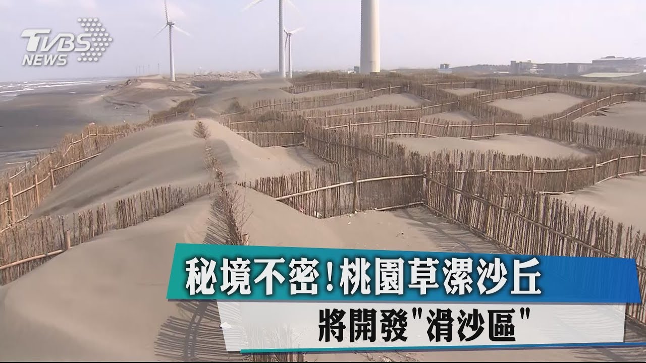 秘境不密！桃園草漯沙丘　將開發「滑沙區」