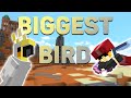 Tier 1 Bird Kit