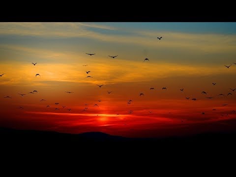 Attracting Positive Energies, Wisdom, Eliminating Anxiety, Balancing the Chakras and Aura