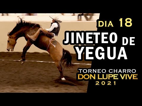 MARE RIDING day 18 - Don Lupe Vive Tournament 2021