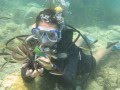 Scuba Diving In Kusadasi
