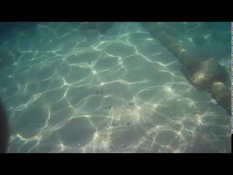 2020 0624 141014 006A