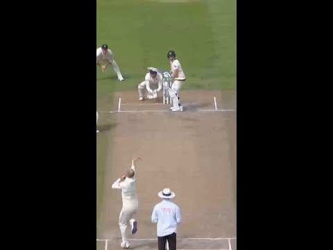 Steve Smith was on a WHOLE NEW LEVEL during the 2019 Ashes 🔥🤯