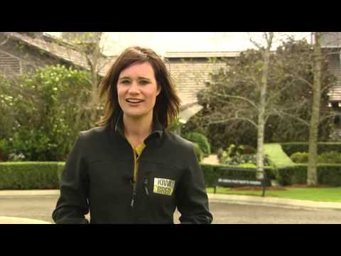 Kiwi Bred Season 2 ep7 pt2