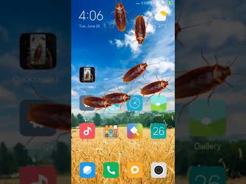 Cockroach in phone prank Video