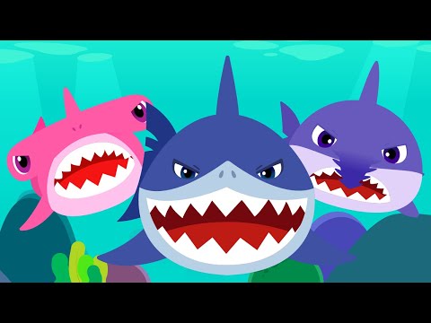 Sha, Sha, Shark Is Coming 🦈| Kids Songs & Nursery Rhymes | Animal Song for Kids | Lotty Friends