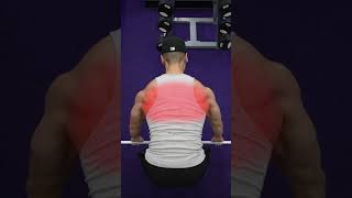 Barbell Row Variations (KNOW THE DIFFERENCE!)