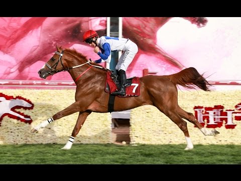 31st Race Meeting of Season 2016 / 2017