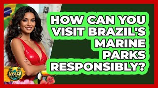 How Can You Visit Brazil's Marine Parks Responsibly? - Brazil Travel Expert