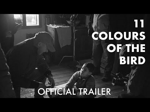 11 COLOURS OF THE BIRD Official UK Trailer