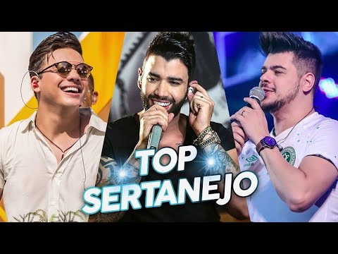 MEGA SERTANEJO 2021- TOP SERTANEJO 2021 (Janeiro)