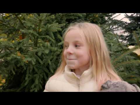 466 Дрозд Екатерина Не малышка Ломоносовская школа пансион