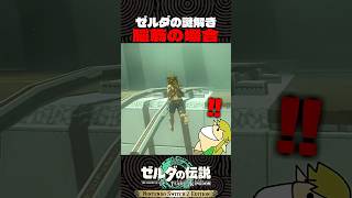 ゼルダの謎解き 脳筋攻略法【ゼルダの伝説 ティアキン】
