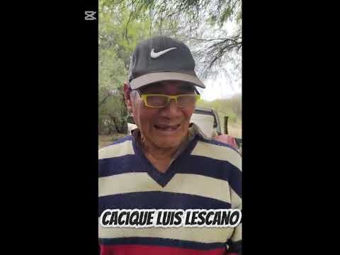 Cultura nativa colmenar en la Merced SALTA