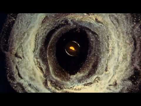 Dimitris Petsetakis  ELDERHOOD DREAMS  [Version II]