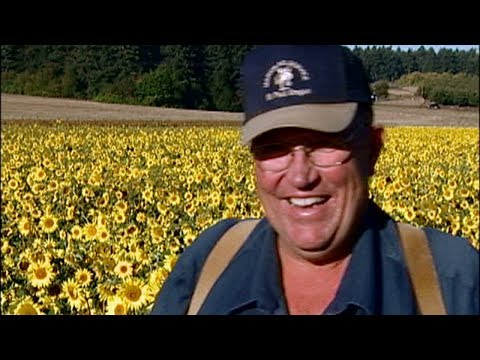 download lagu mp3 mp4 Forever Sunflower, download lagu Forever Sunflower gratis, unduh video klip Download Forever Sunflower Mp3 dan Mp4 Music Gratis