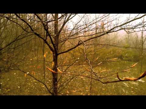 download lagu mp3 mp4 Adam James Sorensen Winter Song, download mp3 Adam James Sorensen Winter Song free download mp3, download mp3 Adam James Sorensen Winter Song