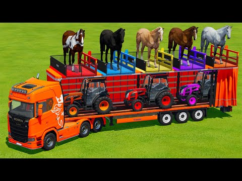 TRANSPORTING HORSES & MINI LANDINI TRACTORS WITH SCANIA TRUCK - Farming Simulator 22