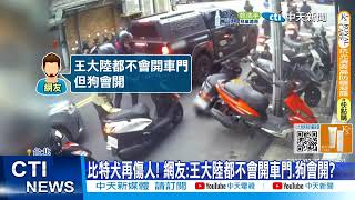 Re: [黑特] 臺北市動保處還要把比特犬開放認養????