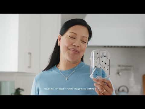 Zevo Traps | The Struggle is Real