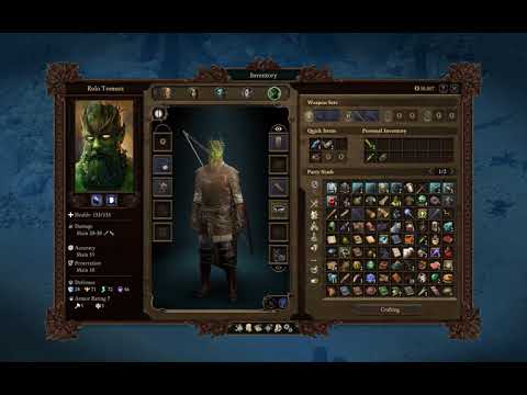 Let's Play Pillars of Eternity II: Deadfire - 24 - no commentary
