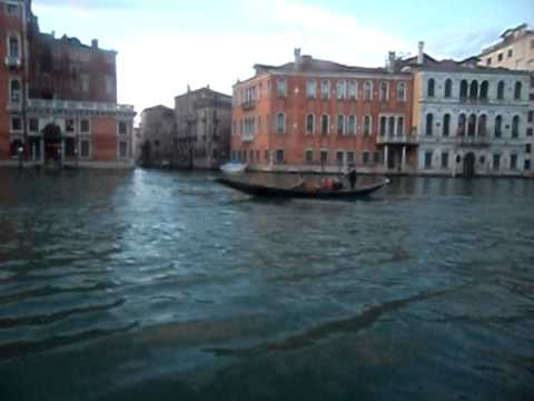 Jose Luis Rodriguez 'El Puma' - C'est Venice 1984