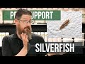 How Did I Get Silverfish? | Pest Support
