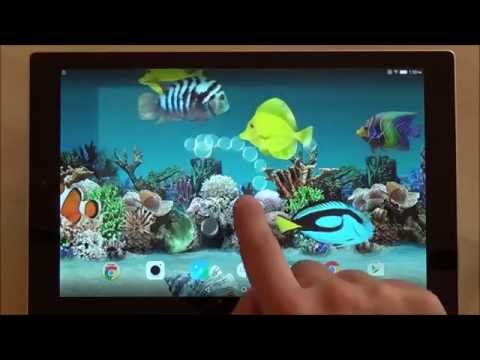 Coral Fish 3D Live Wallpaper Video