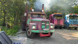 Scania LS 76-42 tippbil | Bilde 4 - Autoline