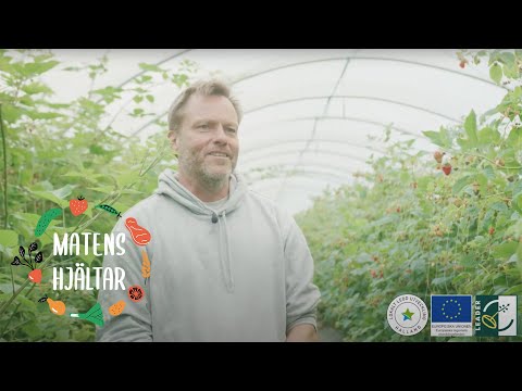 Matens hjältar - Hallands Bär