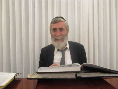 הרב יהושע ביבי - תשפ"ו - שער המצוות - שיעור מס' 006 - בירורי הדצח''מ שבאבי''ע והלכה
