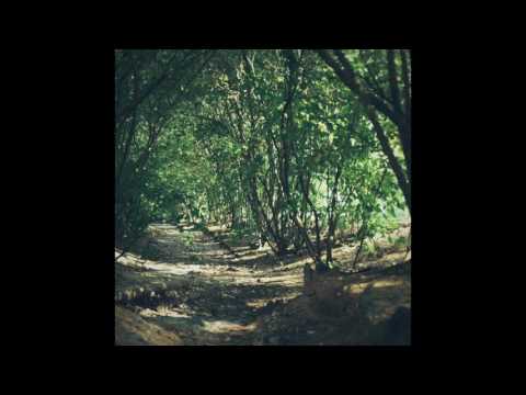 PΛVVLΛ - YOUNG (Official Audio)