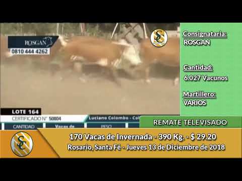 13-12-18 - Remate Televisado de ROSGAN 2do. día - Rosario