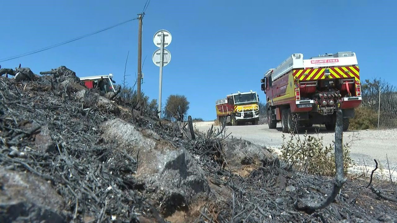 Occitanie: feux maîtrisés dans l'Hérault et les Pyrénées-Orientales | AFP