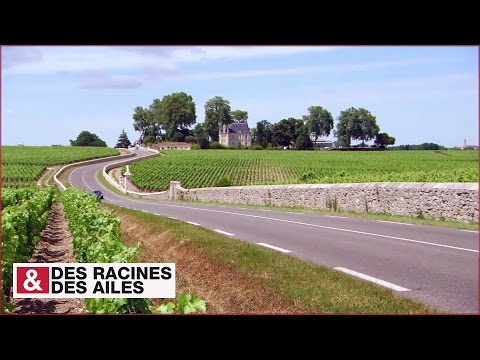 La route des Châteaux du Medoc