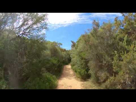 The best mtb trips in Croatia and Slovenia - premantura park Croatia