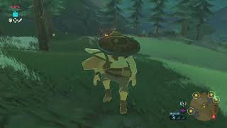 ゼルダの伝説ブレスオブザワイルド　初見プレイ#4 カカリコ村から