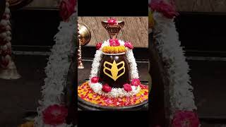 Download lagu Devon ke Dev Mahadev ☘️ #trending #viral #explore #mahadev #devokedevmahadev mp3