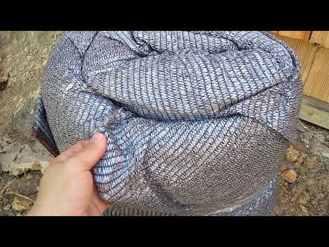 download lagu mp3 mp4 Freshnet, download lagu Freshnet gratis, unduh video klip Freshnet