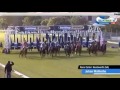 Did The Pumeza Jump From The Wrong Gate