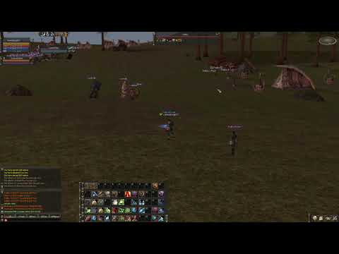 Lineage 2 reborn signature Franz and teon necromancer skyshadow meadow solo