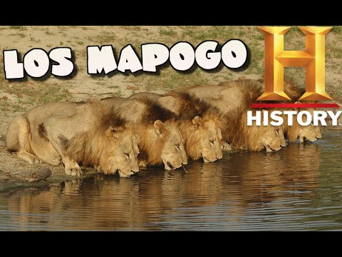 LOS MAPOGO DOCUMENTAL COMPLETO
