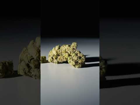 Uncovering the Secrets of Do-Si-Dos: A Cannabis Strain Review