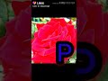P Naam Wala WhatsApp Status Hindi Song