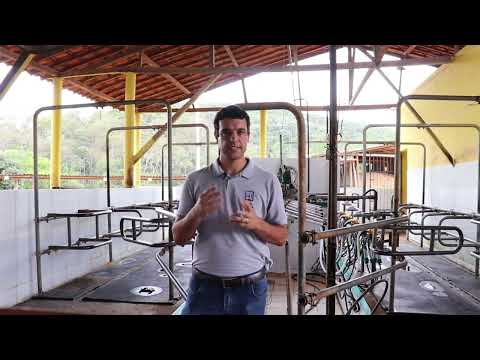 Produção de Volumoso