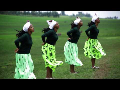 Cimdessaa Ayyalaa new music