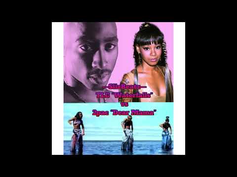 TLC Waterfalls x 2pac Dear Mama