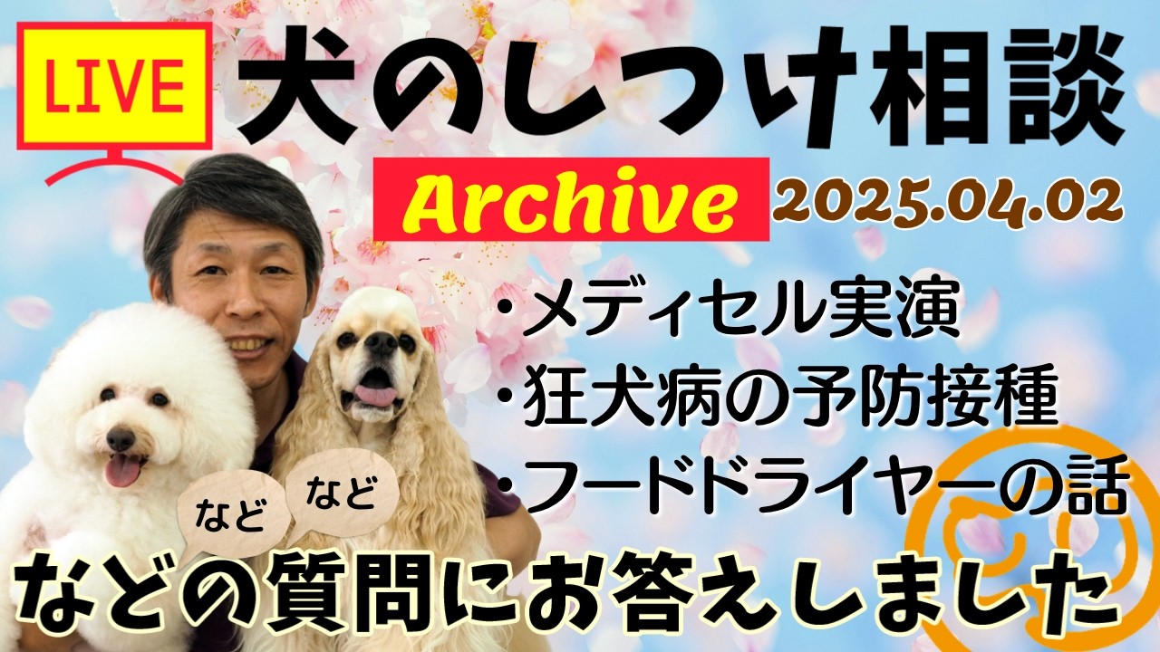 犬のしつけ相談ライブ☆ゲリラライブ【アーカイブ 2026/04/02】